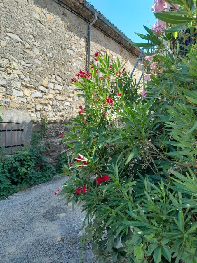 La Terrasse Aux Hirondelles Maison 80M2 2 Chambres 2 Salles De Bains Lagorce  Kültér fotó